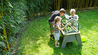 Spaßig und lehrreich: ein Gemüsegarten für Kinder