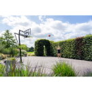 EXIT Galaxy versetzbarer Basketballkorb auf R&auml;dernmit Dunkring - gr&uuml;n/schwarz